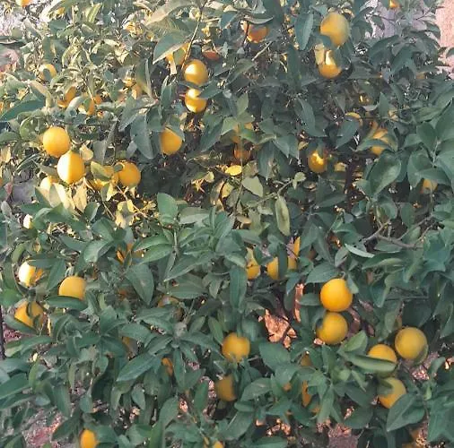 Marko Appartamento Podstrana